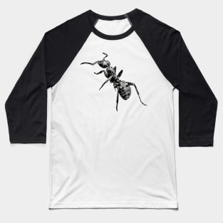 Ant Baseball T-Shirt